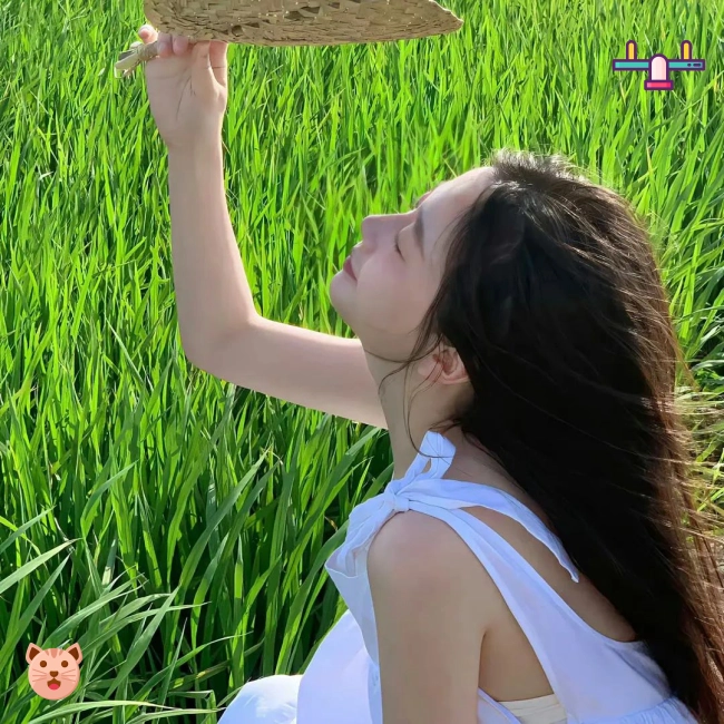 北纬用户